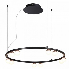 Подвесная люстра Favourite Knopp 4320-10P в Белоярском - beloyarskiy.mebel24.online | фото 2