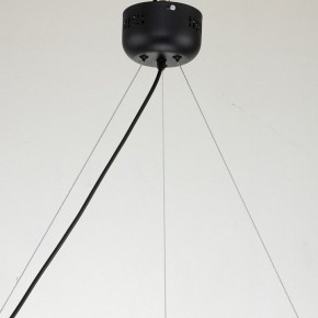 Подвесная люстра Favourite Light point 2997-6P в Белоярском - beloyarskiy.mebel24.online | фото 11