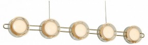 Подвесная люстра Favourite Yo-yo 4334-10P в Белоярском - beloyarskiy.mebel24.online | фото