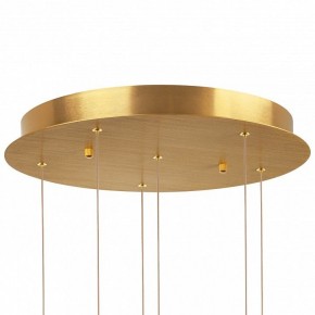 Подвесная люстра Lightstar Colore 805169 в Белоярском - beloyarskiy.mebel24.online | фото 6
