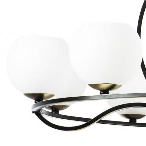 Подвесная люстра Lightstar Enna 762117 в Белоярском - beloyarskiy.mebel24.online | фото 4