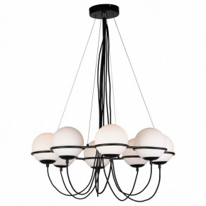 Подвесная люстра Lightstar Globo 803287 в Белоярском - beloyarskiy.mebel24.online | фото 2