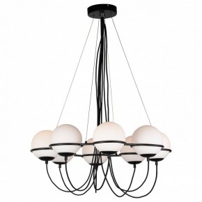 Подвесная люстра Lightstar Globo 803287 в Белоярском - beloyarskiy.mebel24.online | фото 3