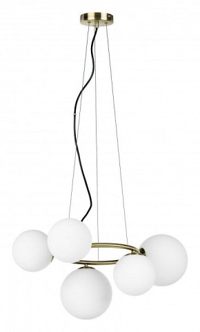 Подвесная люстра Lightstar Globo 815051 в Белоярском - beloyarskiy.mebel24.online | фото 2