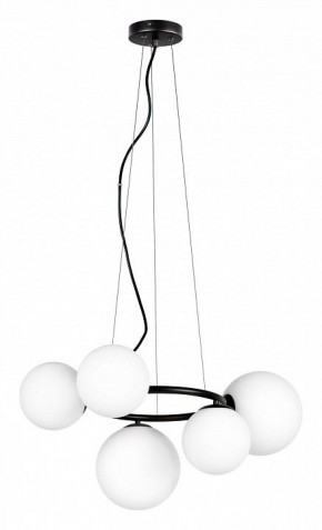 Подвесная люстра Lightstar Globo 815057 в Белоярском - beloyarskiy.mebel24.online | фото 2