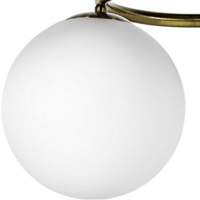 Подвесная люстра Lightstar Globo 815091 в Белоярском - beloyarskiy.mebel24.online | фото 3