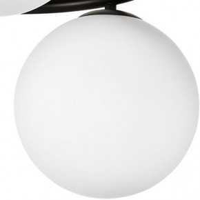 Подвесная люстра Lightstar Globo 815097 в Белоярском - beloyarskiy.mebel24.online | фото 3