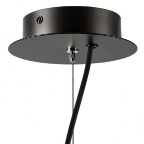 Подвесная люстра Lightstar Ragno 733247 в Белоярском - beloyarskiy.mebel24.online | фото 9