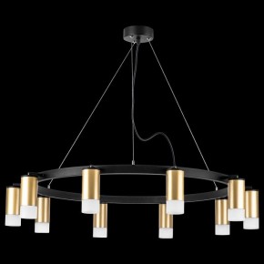 Подвесная люстра Lightstar Rullo LR0204001 в Белоярском - beloyarskiy.mebel24.online | фото 3
