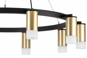 Подвесная люстра Lightstar Rullo LR0204001 в Белоярском - beloyarskiy.mebel24.online | фото 5