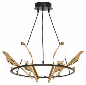 Подвесная люстра Lussole Jasper LSP-8641 в Белоярском - beloyarskiy.mebel24.online | фото 4