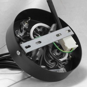 Подвесная люстра Lussole Seneca GRLSP-8177 в Белоярском - beloyarskiy.mebel24.online | фото 10