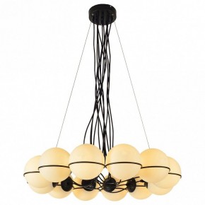 Подвесная люстра Lussole Seneca LSP-8177 в Белоярском - beloyarskiy.mebel24.online | фото