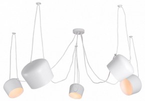 Подвесная люстра Lussole Shirley LSP-8175 в Белоярском - beloyarskiy.mebel24.online | фото