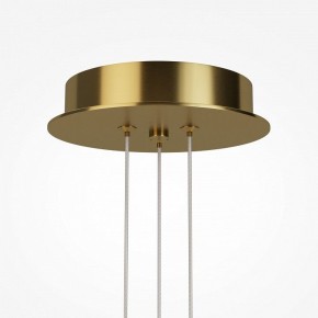 Подвесная люстра Maytoni Arana MOD401PL-L108BS3K в Белоярском - beloyarskiy.mebel24.online | фото 7