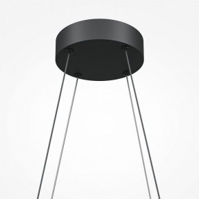 Подвесная люстра Maytoni Halo MOD244PL-L50BK в Белоярском - beloyarskiy.mebel24.online | фото 5