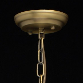 Подвесная люстра MW-Light Альгеро 3 285010703 в Белоярском - beloyarskiy.mebel24.online | фото 14
