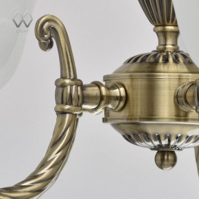 Подвесная люстра MW-Light Ариадна 20 450016305 в Белоярском - beloyarskiy.mebel24.online | фото 10