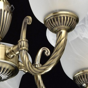 Подвесная люстра MW-Light Ариадна 20 450016305 в Белоярском - beloyarskiy.mebel24.online | фото 6