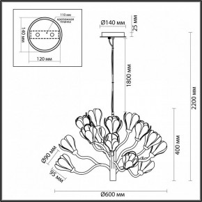 Подвесная люстра Odeon Light Gardi 5090/15 в Белоярском - beloyarskiy.mebel24.online | фото 6