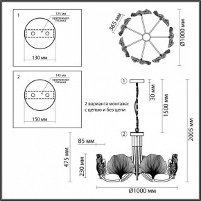 Подвесная люстра Odeon Light Ventaglio 4870/7 в Белоярском - beloyarskiy.mebel24.online | фото 6