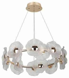 Подвесная люстра Rivoli Shannon Б0061947 в Белоярском - beloyarskiy.mebel24.online | фото 4