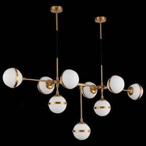 Подвесная люстра ST-Luce Arbe SL1157.303.09 в Белоярском - beloyarskiy.mebel24.online | фото 4