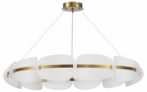 Подвесная люстра ST-Luce Etoile SL1304.203.65 в Белоярском - beloyarskiy.mebel24.online | фото 3