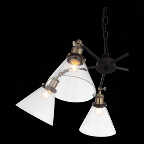 Подвесная люстра ST-Luce Evoluto SL237.413.05 в Белоярском - beloyarskiy.mebel24.online | фото 7