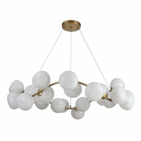 Подвесная люстра ST-Luce Sweven SL1519.303.24 в Белоярском - beloyarskiy.mebel24.online | фото 2