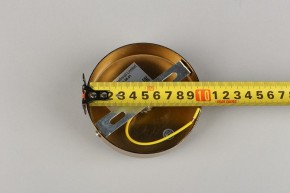 Подвесной светильник Aployt Lora APL.728.06.01 в Белоярском - beloyarskiy.mebel24.online | фото 8