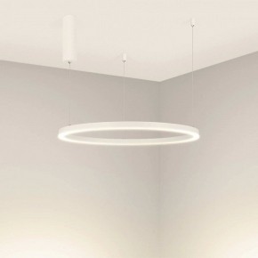 Подвесной светильник Arlight CONGO 046248 в Белоярском - beloyarskiy.mebel24.online | фото 2