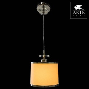 Подвесной светильник Arte Lamp Furore A3990SP-1CC в Белоярском - beloyarskiy.mebel24.online | фото 3