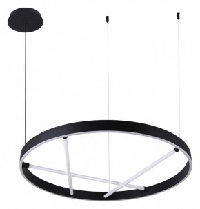 Подвесной светильник Arte Lamp Ricco A1874SP-45BK в Белоярском - beloyarskiy.mebel24.online | фото 2
