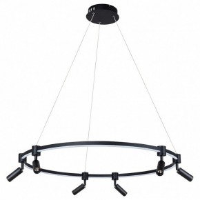 Подвесной светильник Arte Lamp Ring A2186SP-1BK в Белоярском - beloyarskiy.mebel24.online | фото 2