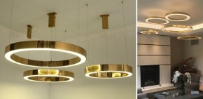 Подвесной светильник Imperiumloft Light Ring Horizontal 40.1454-40 в Белоярском - beloyarskiy.mebel24.online | фото 2