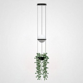 Подвесной светильник Imperiumloft Palma Wall Lamp 22.93727 в Белоярском - beloyarskiy.mebel24.online | фото