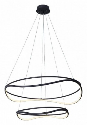 Подвесной светильник Lightstar Rotonda 736527 в Белоярском - beloyarskiy.mebel24.online | фото 2