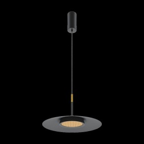 Подвесной светильник Maytoni Halo MOD041PL-L15B3K1 в Белоярском - beloyarskiy.mebel24.online | фото 4
