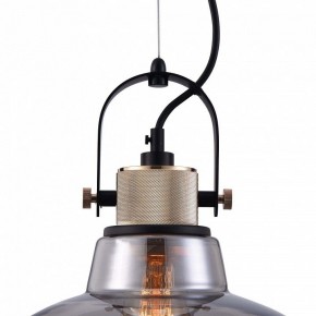 Подвесной светильник Maytoni Irving T163PL-01C в Белоярском - beloyarskiy.mebel24.online | фото 9