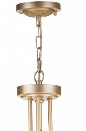 Подвесной светильник Maytoni Roma ARM006PL-06G в Белоярском - beloyarskiy.mebel24.online | фото 5