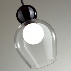 Подвесной светильник Odeon Light Blacky 2 5023/1 в Белоярском - beloyarskiy.mebel24.online | фото 6