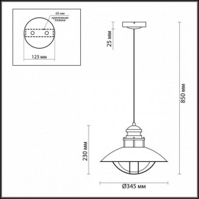 Подвесной светильник Odeon Light Dante 4164/1 в Белоярском - beloyarskiy.mebel24.online | фото 3