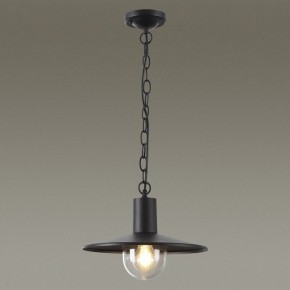 Подвесной светильник Odeon Light Furcadia 4833/1 в Белоярском - beloyarskiy.mebel24.online | фото 3