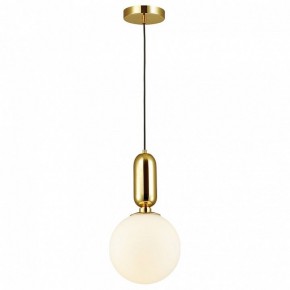 Подвесной светильник Odeon Light Okia 4669/1 в Белоярском - beloyarskiy.mebel24.online | фото 2