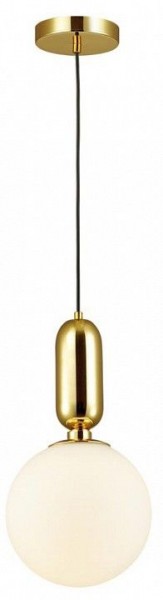 Подвесной светильник Odeon Light Okia 4669/1 в Белоярском - beloyarskiy.mebel24.online | фото 3