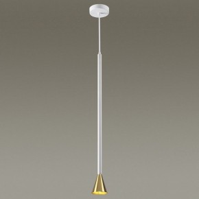 Подвесной светильник Odeon Light Pipa 3884/1GW в Белоярском - beloyarskiy.mebel24.online | фото 3