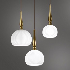 Подвесной светильник Odeon Light Runga 4765/1 в Белоярском - beloyarskiy.mebel24.online | фото 6