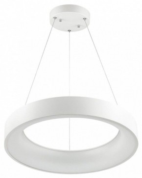 Подвесной светильник Odeon Light Sole 4066/50L в Белоярском - beloyarskiy.mebel24.online | фото 2