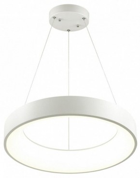 Подвесной светильник Odeon Light Sole 4066/50L в Белоярском - beloyarskiy.mebel24.online | фото 3